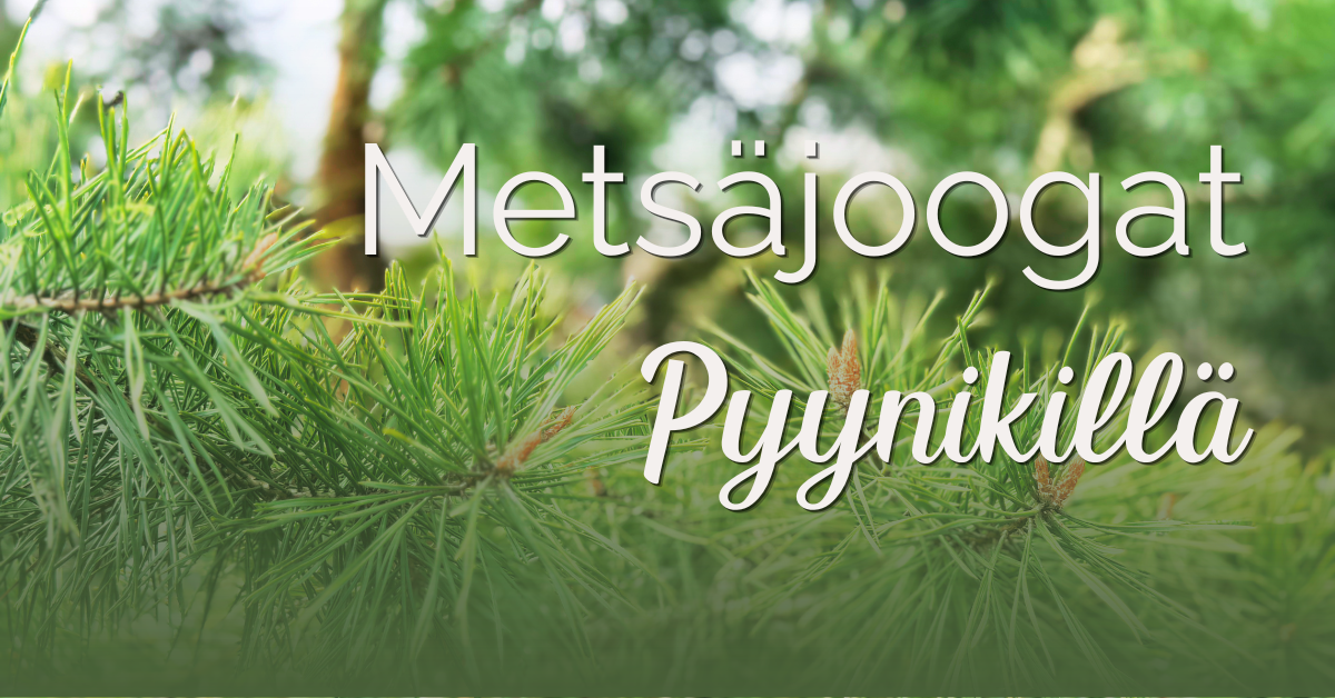 LAHJAKORTTI: Metsäjoogat Pyynikillä